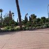 hassnahejjaj